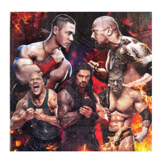 WWE Lunch Napkins