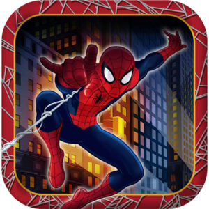 SPIDERMAN HERO DREAM