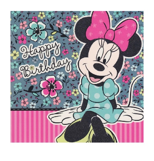 MINNIE MOUSE BOWS